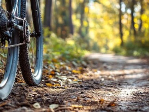 Maountainbike