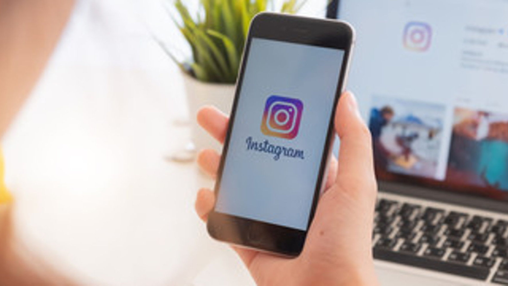 der-sandokai-ist-auf-instagram-zu-finden-nn4vq